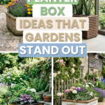 13 DIY Wooden Planter Box Ideas That Make Gardens Stand Out